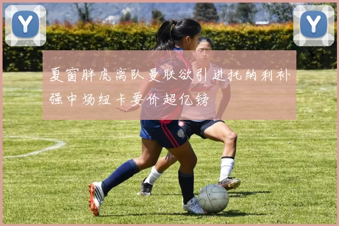 夏窗胖虎离队曼联欲引进托纳利补强中场纽卡要价超亿镑